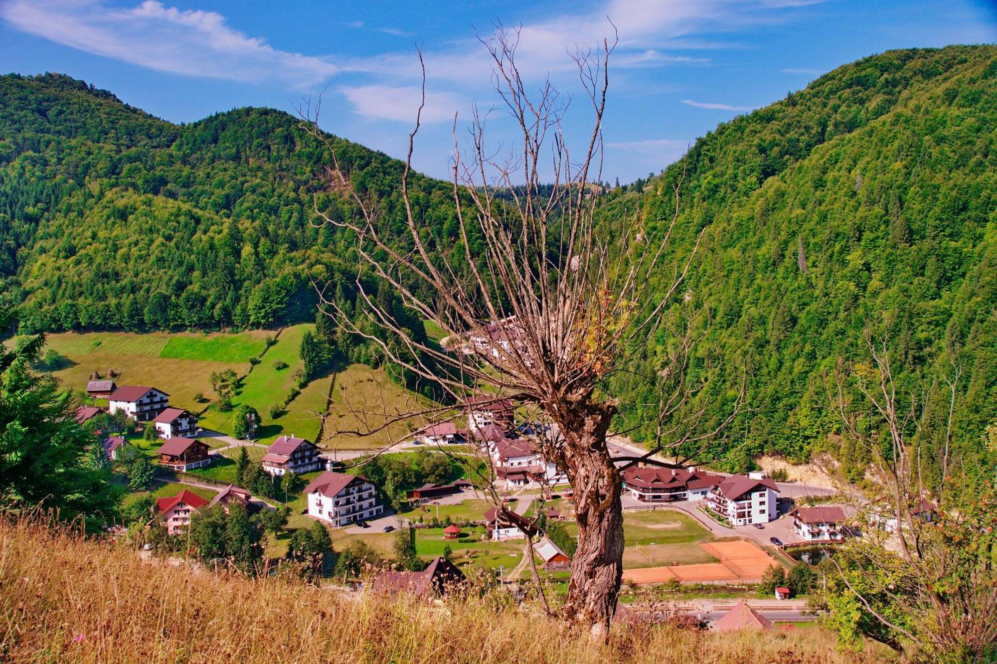 Resort Cheile Gradistei Moieciu มัวเยชู เด ซุส ภายนอก รูปภาพ